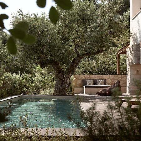 Zayn Luxury Villas, A Serene Escape, By Thinkvilla Циливи Экстерьер фото
