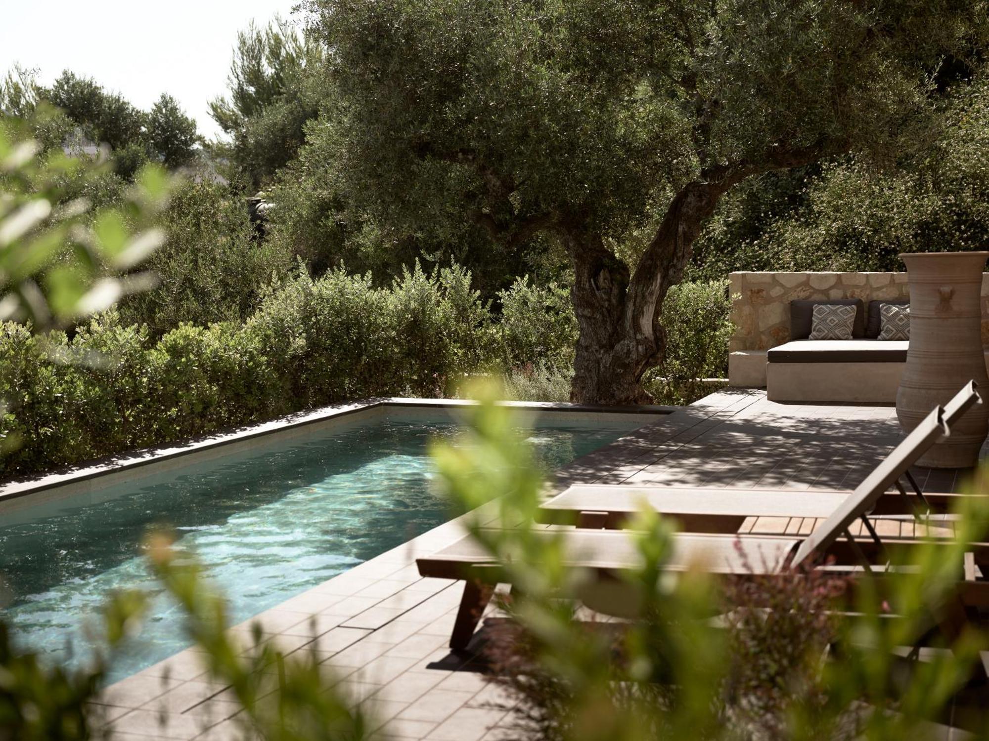 Zayn Luxury Villas, A Serene Escape, By Thinkvilla Циливи Экстерьер фото