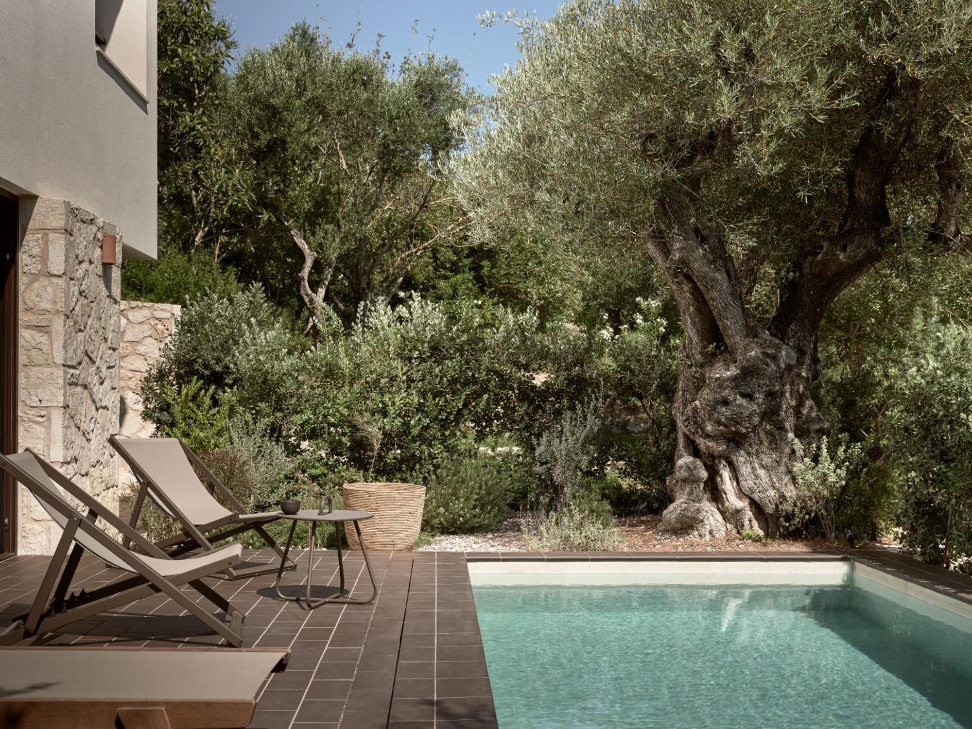 Zayn Luxury Villas, A Serene Escape, By Thinkvilla Циливи Экстерьер фото